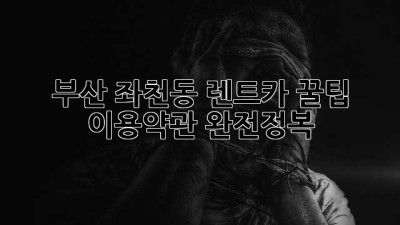 부산 좌천동 렌트카 꿀팁🍯: 이용약관 완전정복!
